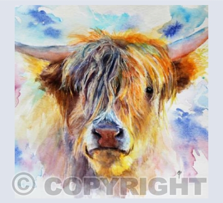 HIGHLAND PORTRAIT