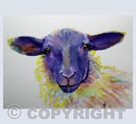 LAMB PORTRAIT