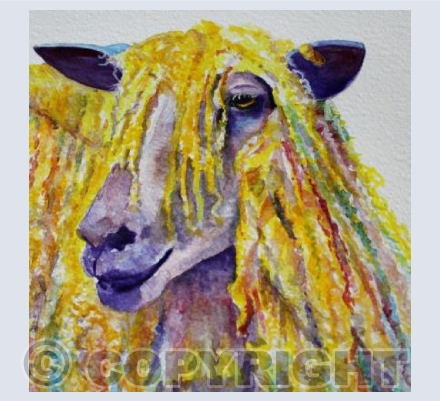 CURLY WURLY WENSLEYDALE