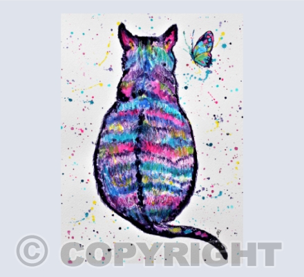 BUTTERFLY CAT