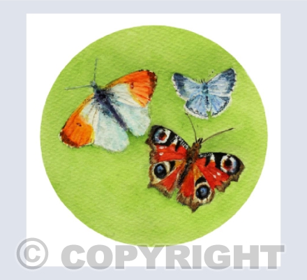 BUTTERFLIES