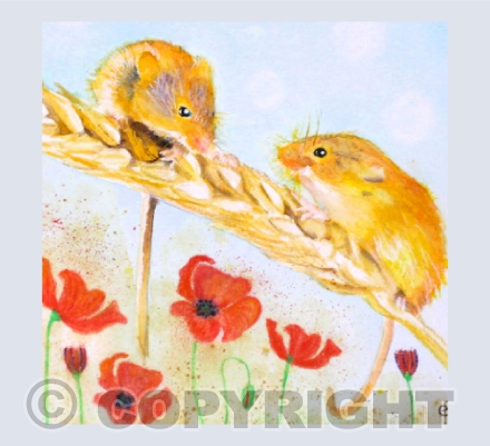 HARVEST MICE AND POPPIES