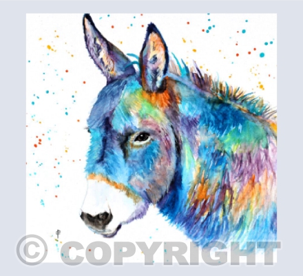 COLOURFUL DONKEY