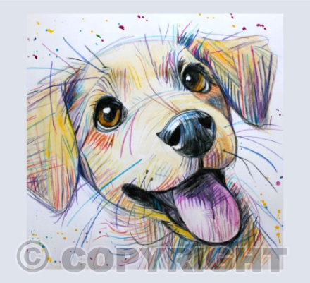 HAPPY DOG (2)