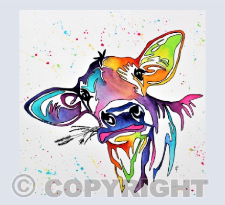 COLOURFUL CLARA