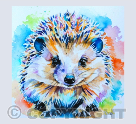 COLOURFUL HEDGEHOG