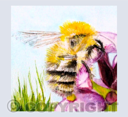 BEE (2)