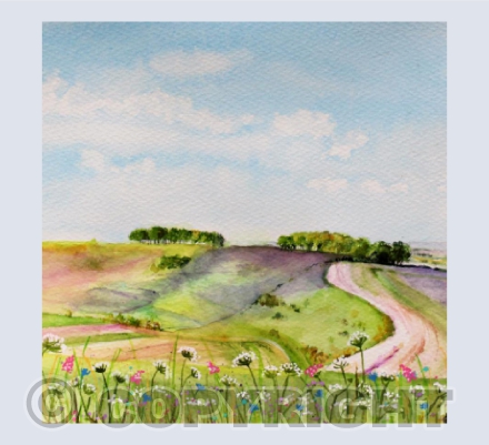 THE DEVIL'S PUNCHBOWL, THE RIDGEWAY, OXFORDSHIRE