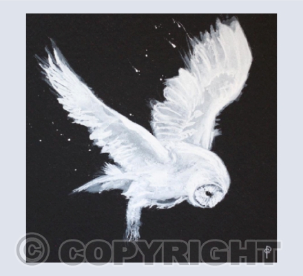 MIDNIGHT OWL