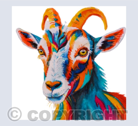COLOURFUL GOAT