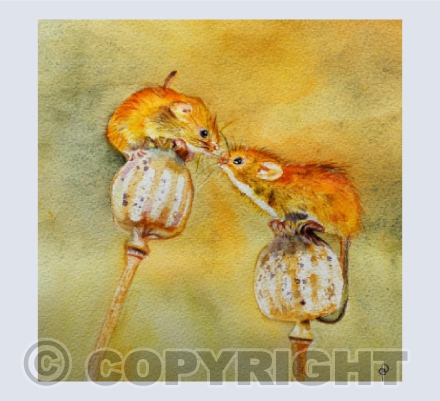 "POPPY LOVE" HARVEST MICE