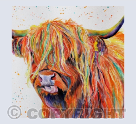COLOURFUL HIGHLAND (2)