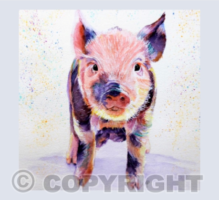 PIGLET (1)