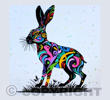 JAZZY HARE
