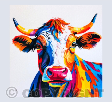 COLOURFUL COW