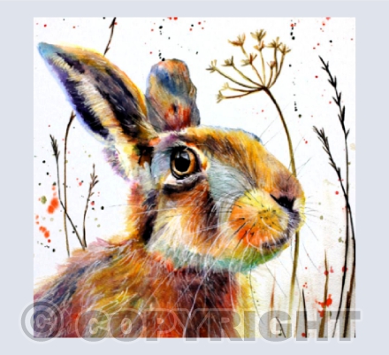 AUTUMN HARE (2)