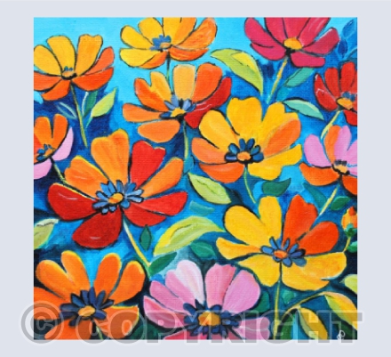 COLOURFUL POPPIES