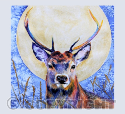 WINTER STAG
