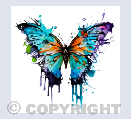 COLOURFUL BUTTERFLY