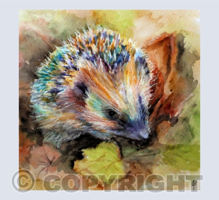 AUTUMN HEDGEHOG
