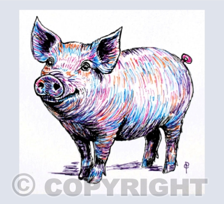 COLOURFUL PIG