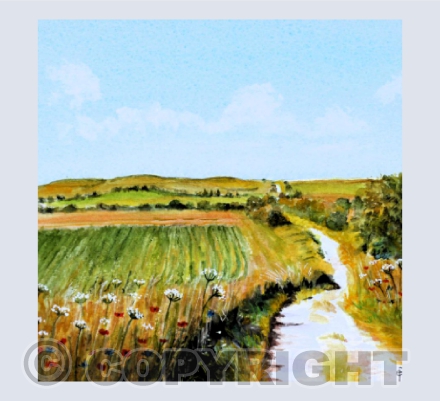 RIDGEWAY WALK