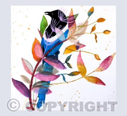 MAGPIE