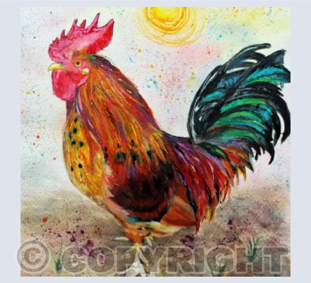 COCKEREL