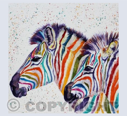 RAINBOW ZEBRAS