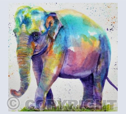 RAINBOW ELEPHANT