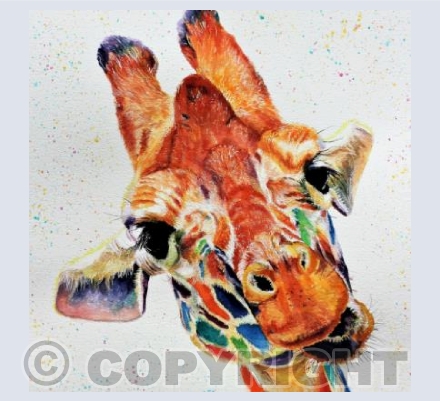 RAINBOW GIRAFFE