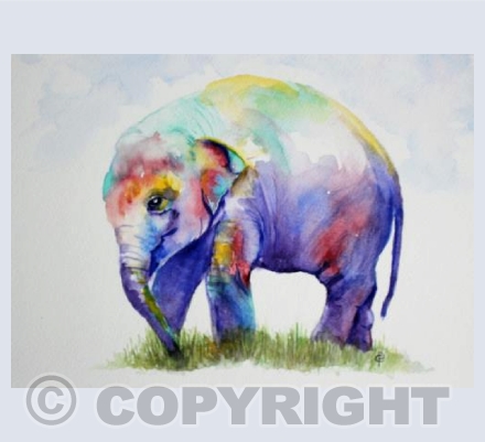 BABY ELEPHANT