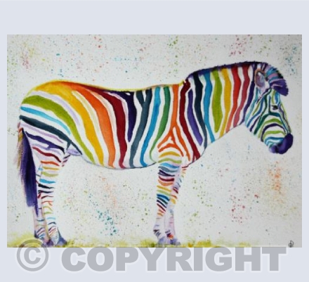 RAINBOW ZEBRA