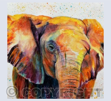 ELEPHANT HEAD (1)