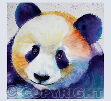 PANDA
