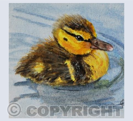 DUCKLING