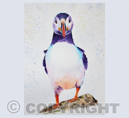 PUFFIN