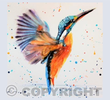 KINGFISHER IN FLIGHT