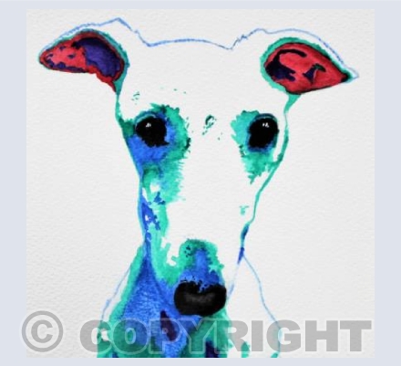 WHIPPET