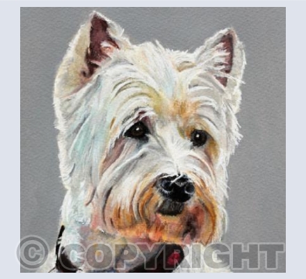 HIGHLAND TERRIER
