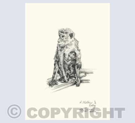 Mother and Baby