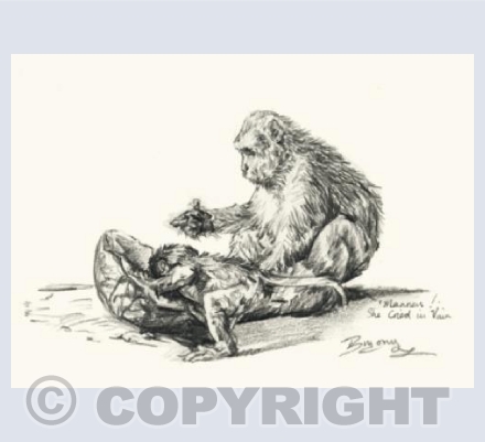 Manners! She cried in Vain