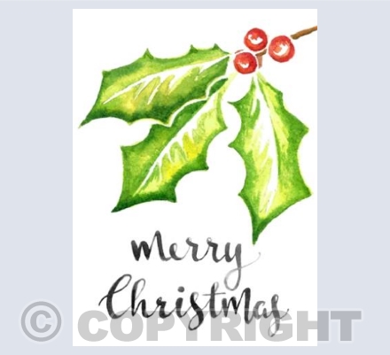 Christmas Holly 