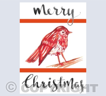 Christmas Robin