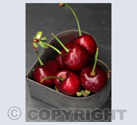 Love Cherries