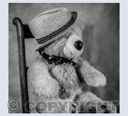 Mr. Bear