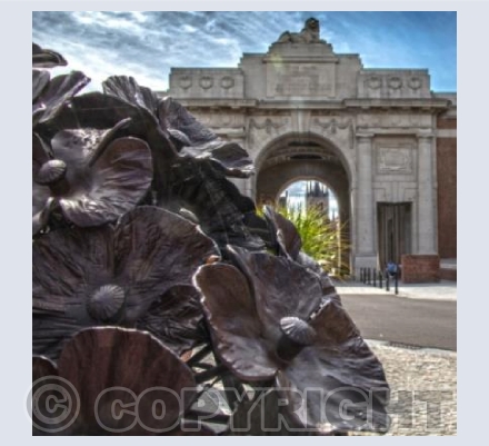 Poppies at The Menin Gate