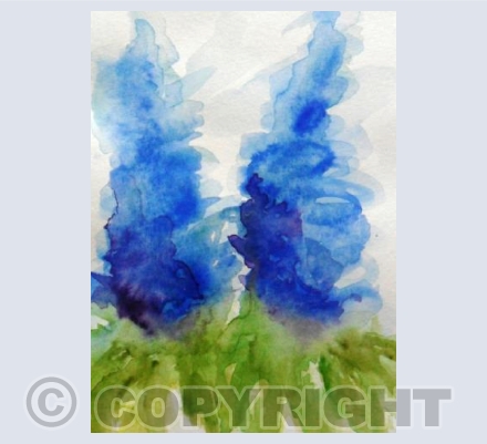 Delphiniums