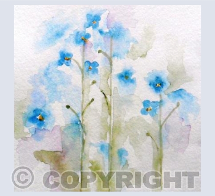 Forget me nots