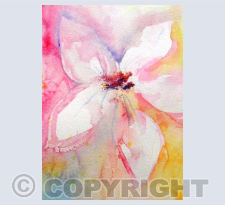 Pastel lily
